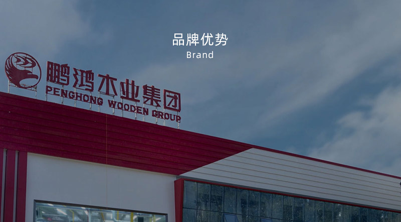 板材品牌、全屋定制品牌、生態(tài)板十大品牌