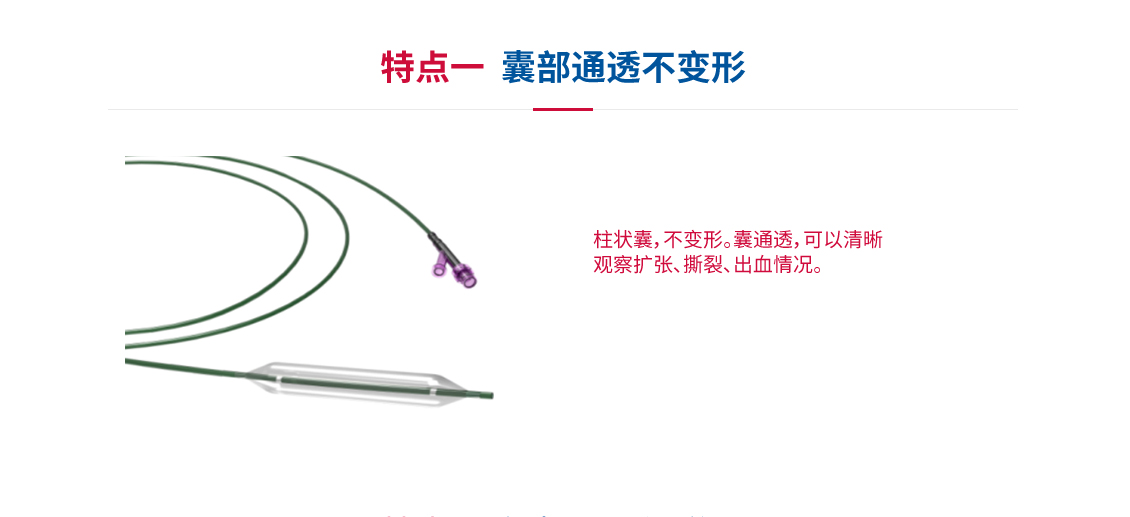 球囊擴(kuò)張導(dǎo)管_05.jpg
