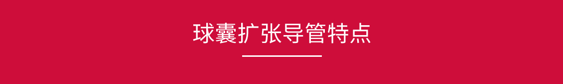 球囊擴(kuò)張導(dǎo)管_03.jpg