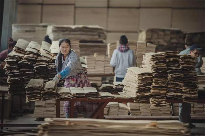 鵬鴻之造——鵬鴻22周年特別奉獻品質(zhì)篇