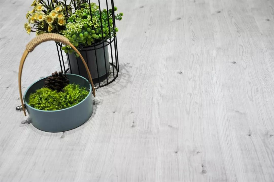 鵬鴻強化地板伊麗莎白系列-5806 鵬鴻強化地板伊麗莎白系列-5806