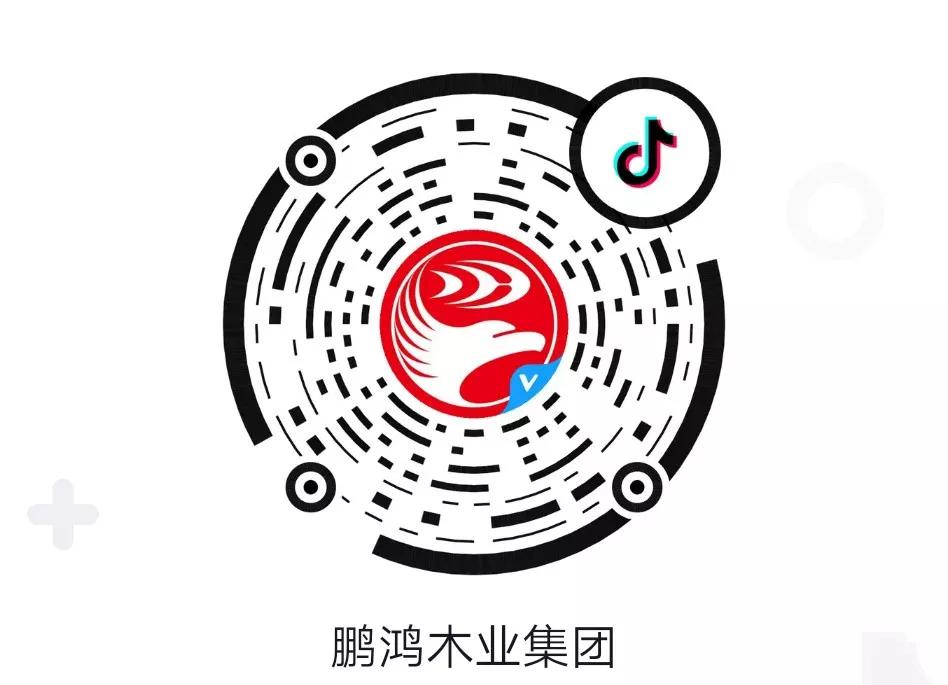 這廂有禮丨這個(gè)春節(jié)我最鴻，抖音相伴幸福年